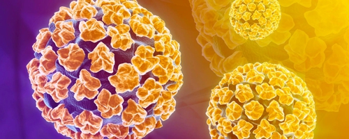 hpv vírus inkubacna doba