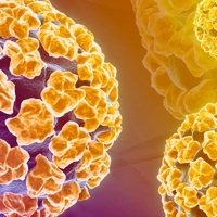 Oslabená imunita a HPV